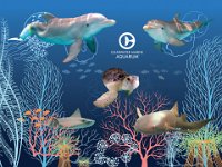 CMA Animal Collage 1024x768